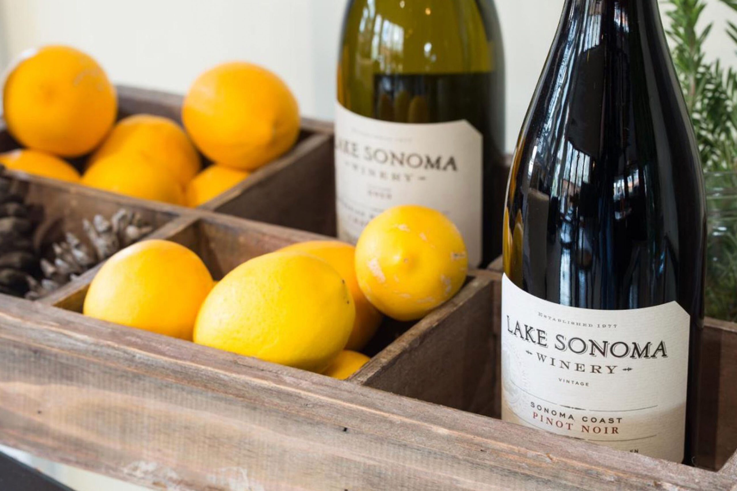 Lake Sonoma Chardonnay and Pinot Noir bottle shot with lemons and oranges